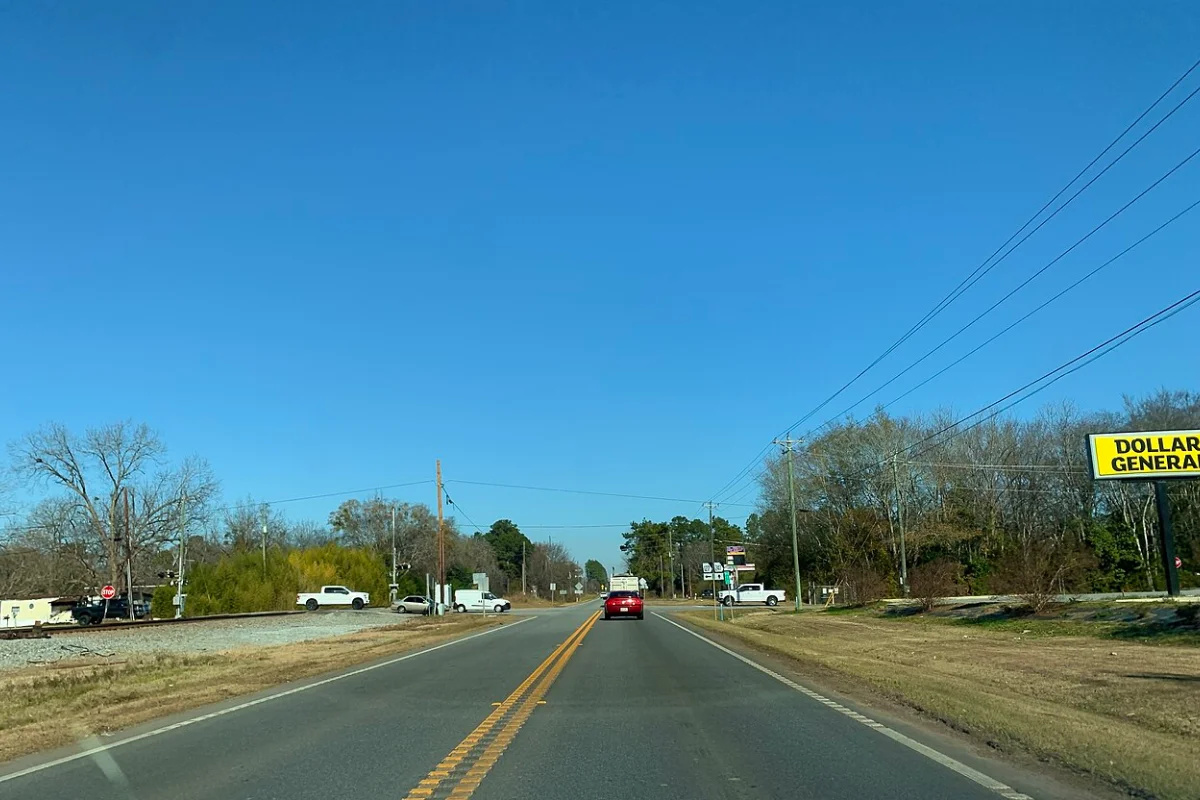 Peaceful rolling acreage and Southern pine tree canopy in Kathleen, Houston County, Georgia